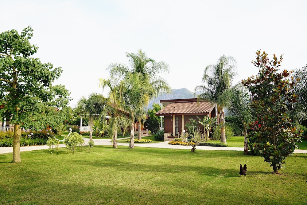 Cirali Hera Otel - Image 85