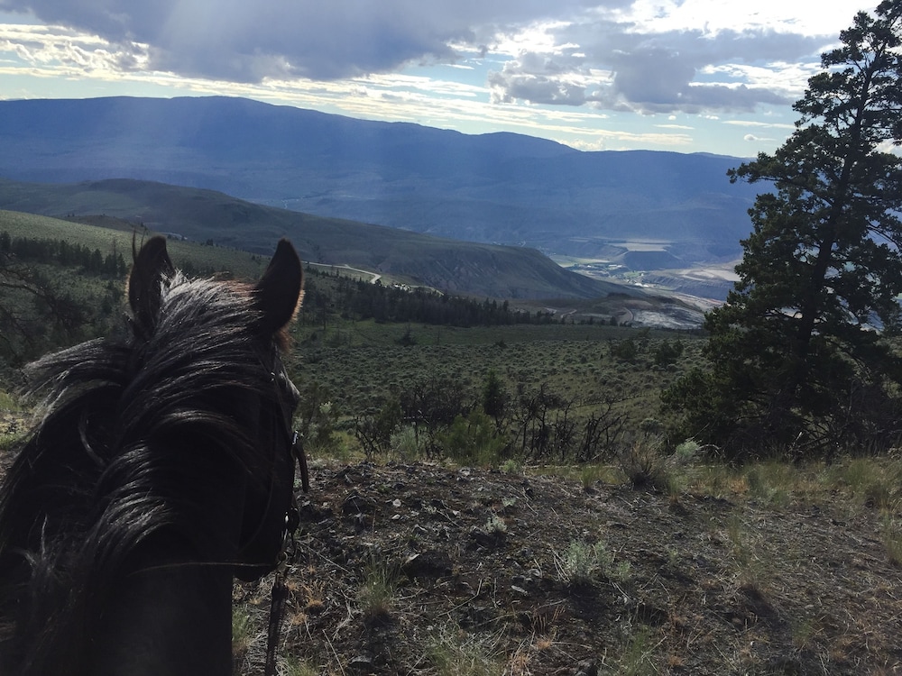 YD Guest Ranch
