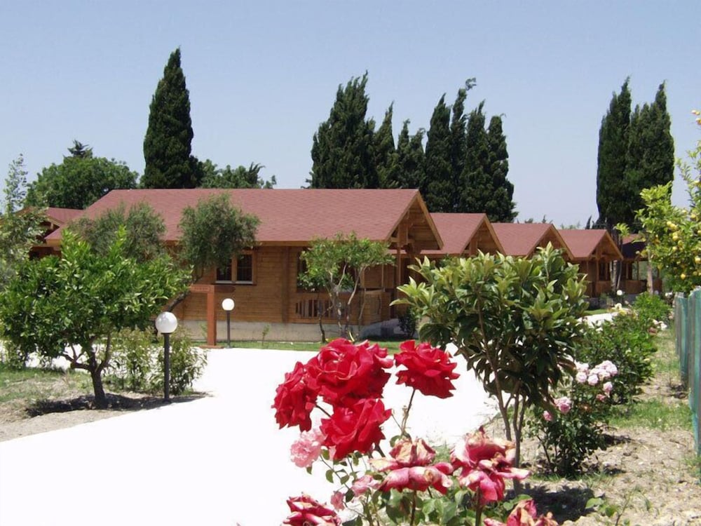 Sandy's Studios Apartments & Log Villas