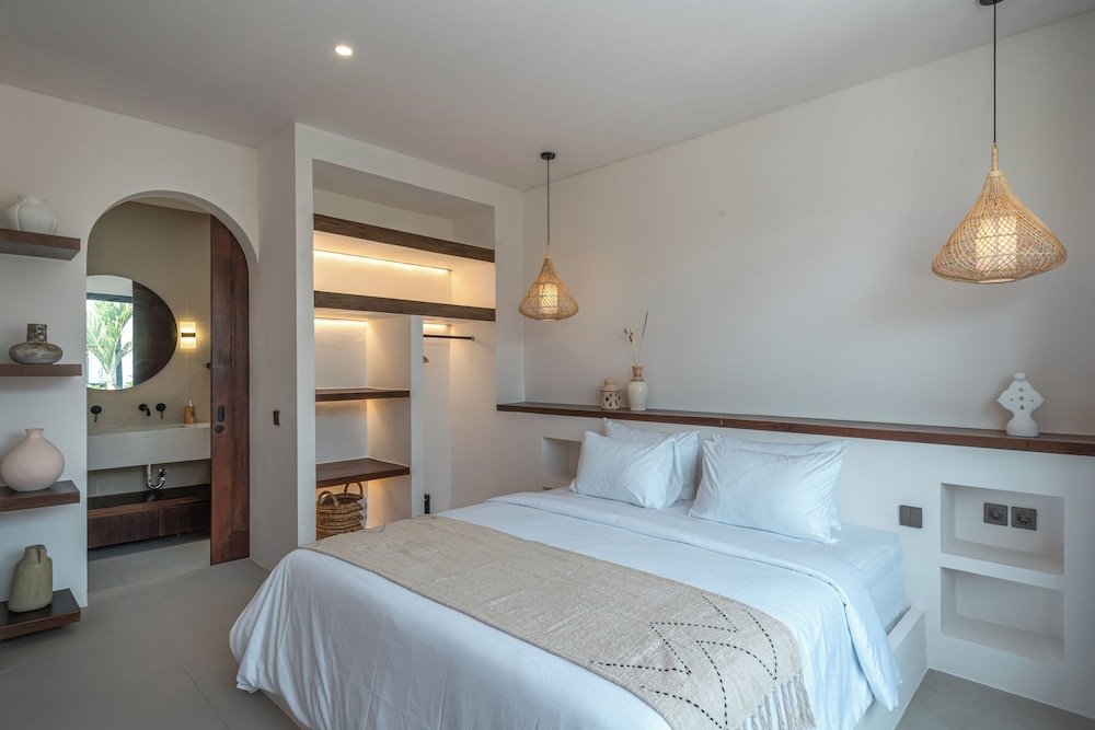 Nova Oasis 3