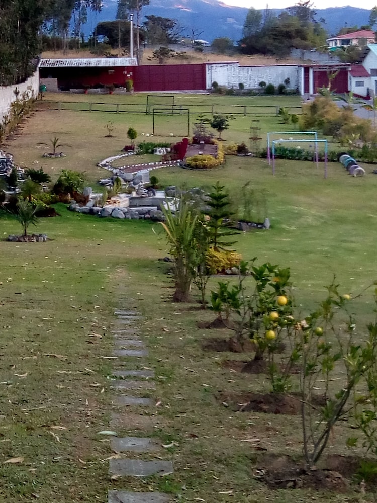 Ficus Lodge