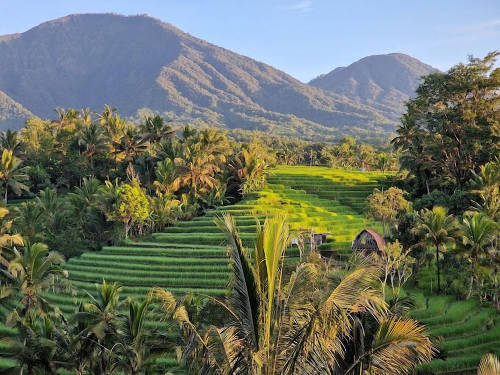 Saridevi Ecolodge Bali view 4
