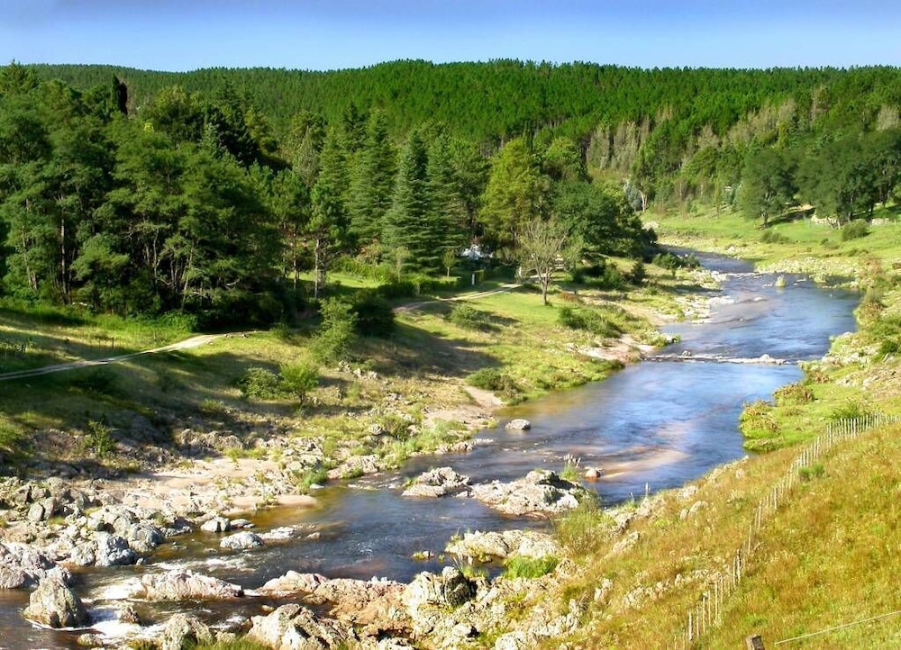 La Domanda