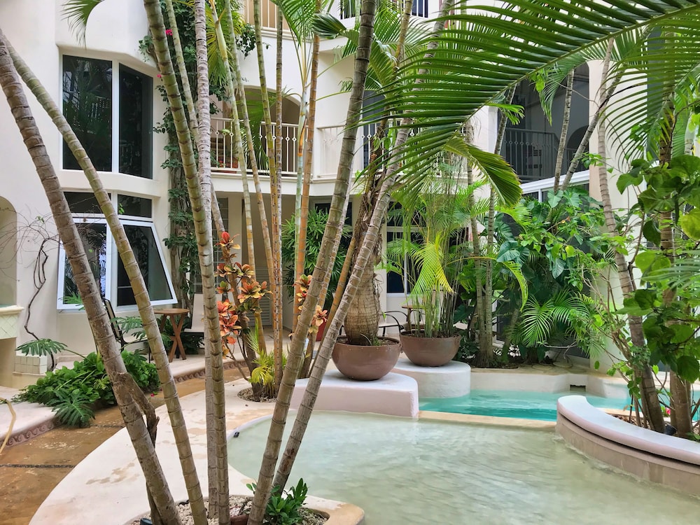 Royal Palms by Bric