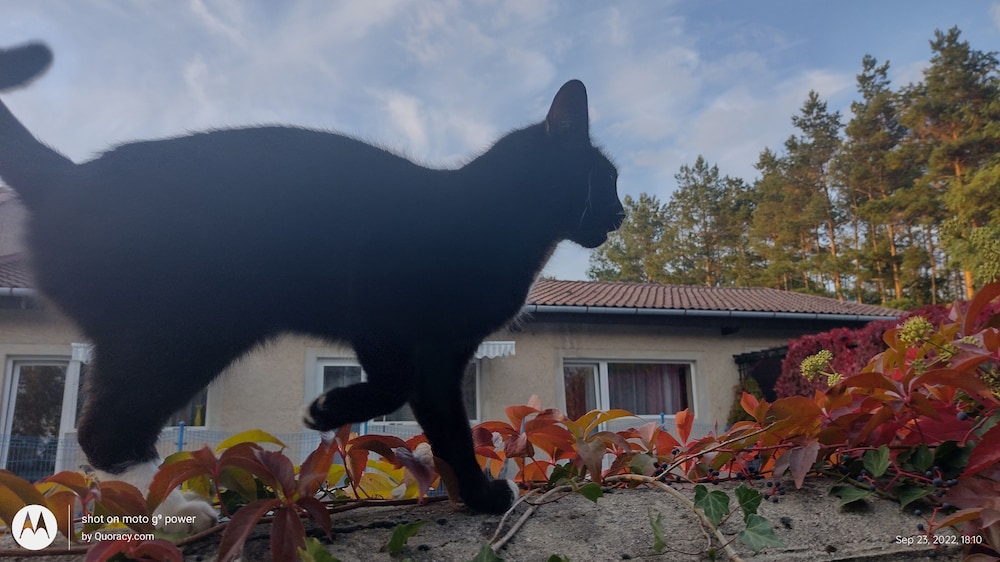 other