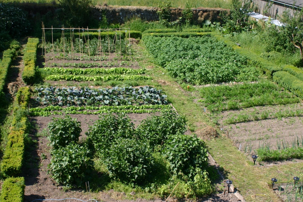 Cormiston Farm