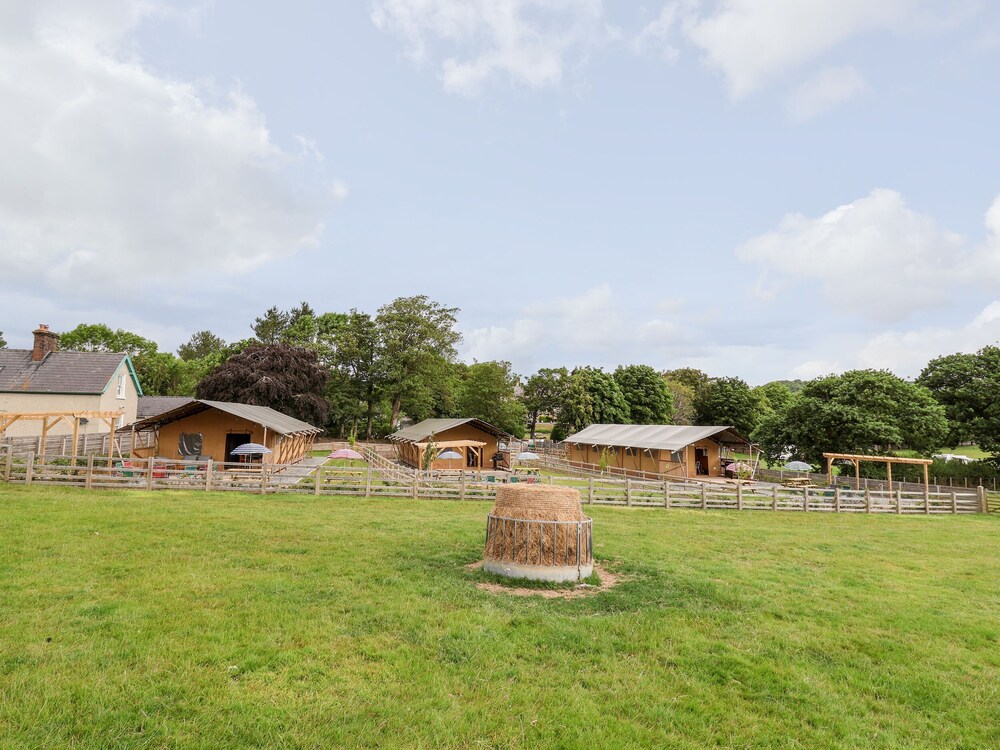 Lucky Clucky Lodge
