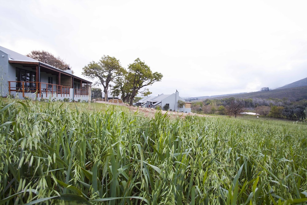 Mont Angelis Retreat