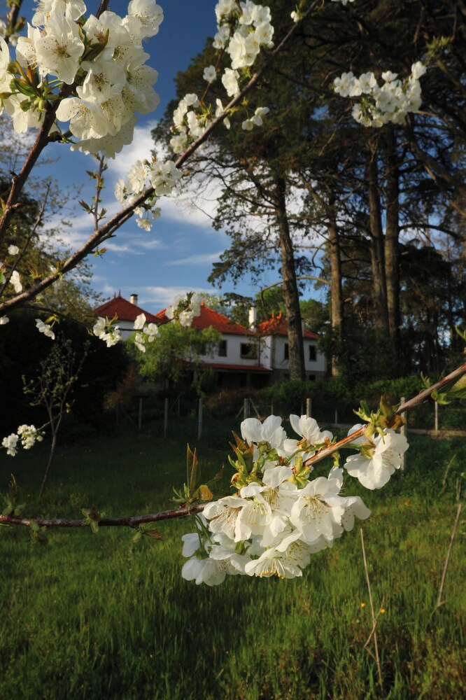 Lugar da Pedra Alta