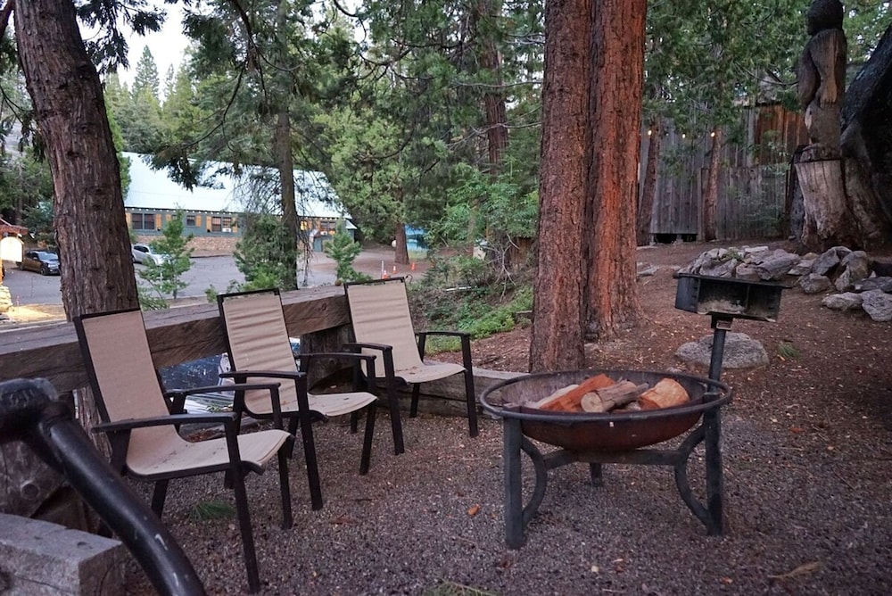 Hawks Nest in Shaver Lake