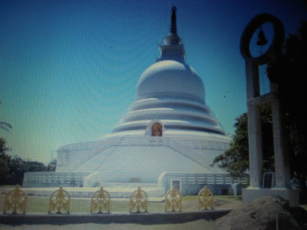 Photo 11