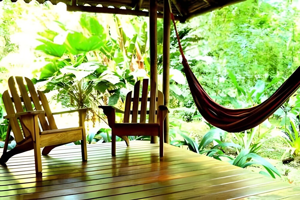 Jungle Dreamz