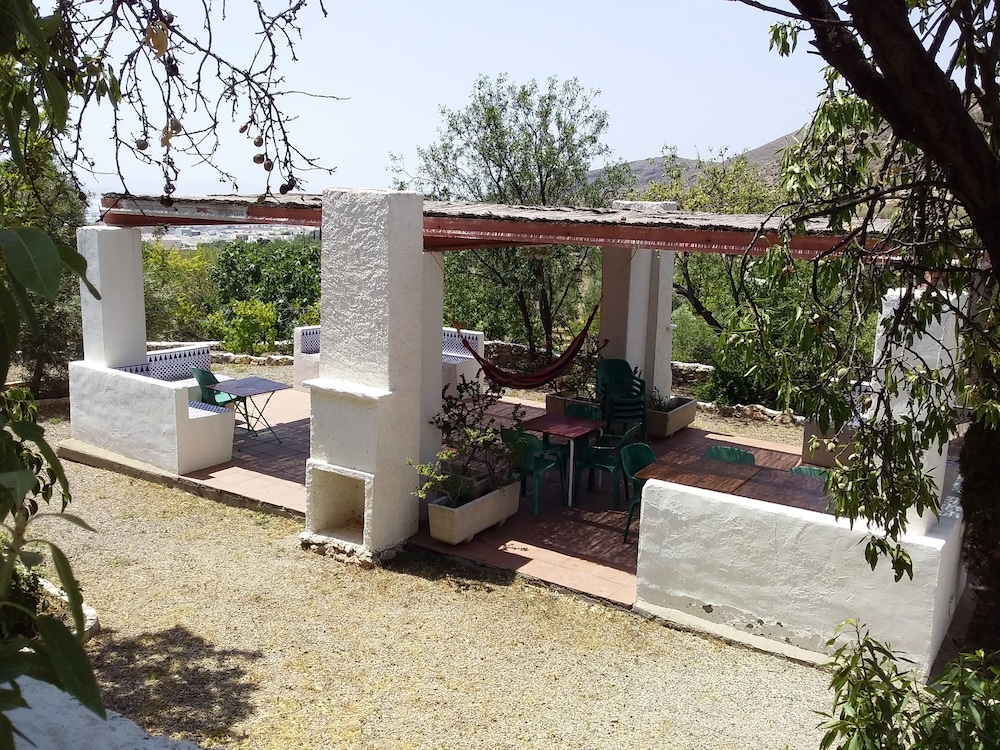 Photo 19