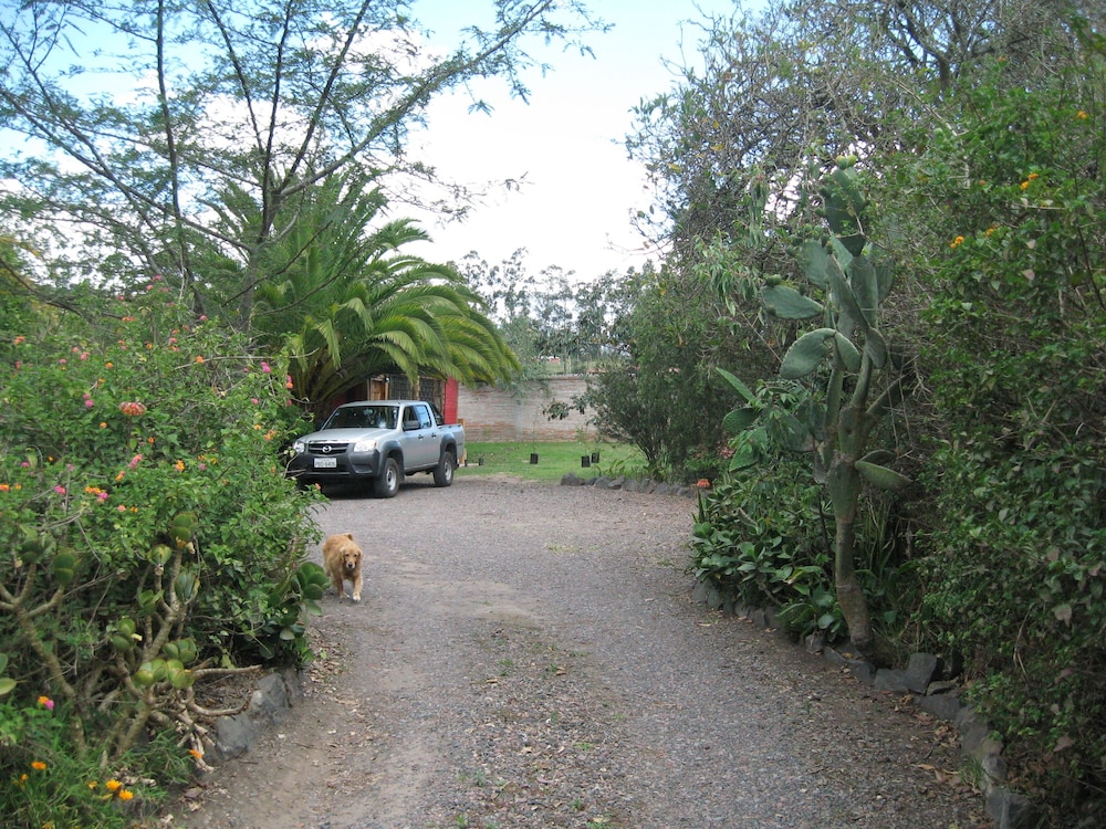 Arie s Cabin