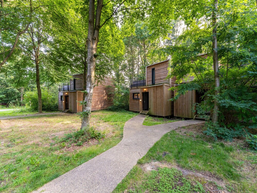 Peaceful Forest Escape