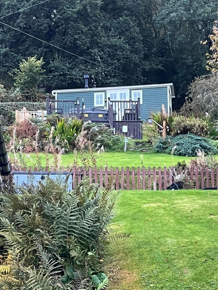 BroomBush
