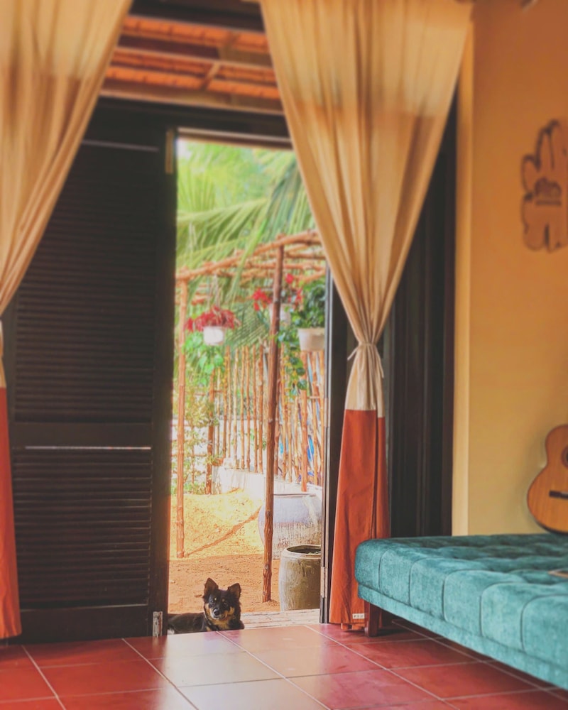 LoiLoi's home