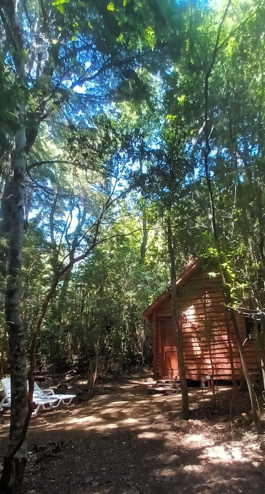 Cabaña Arrayán