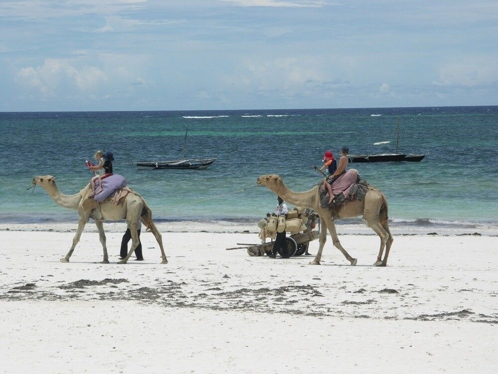 Diani house