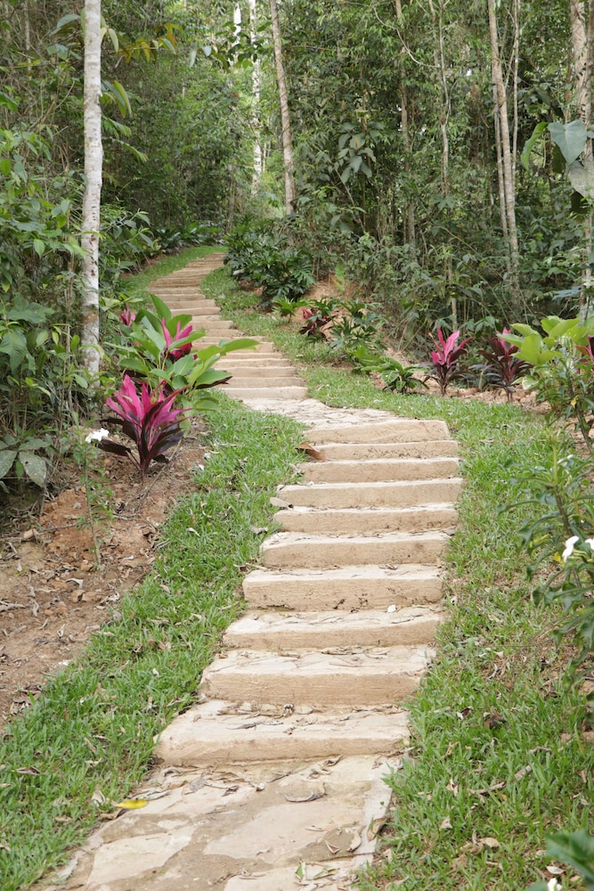 Ecolodge Palonegro