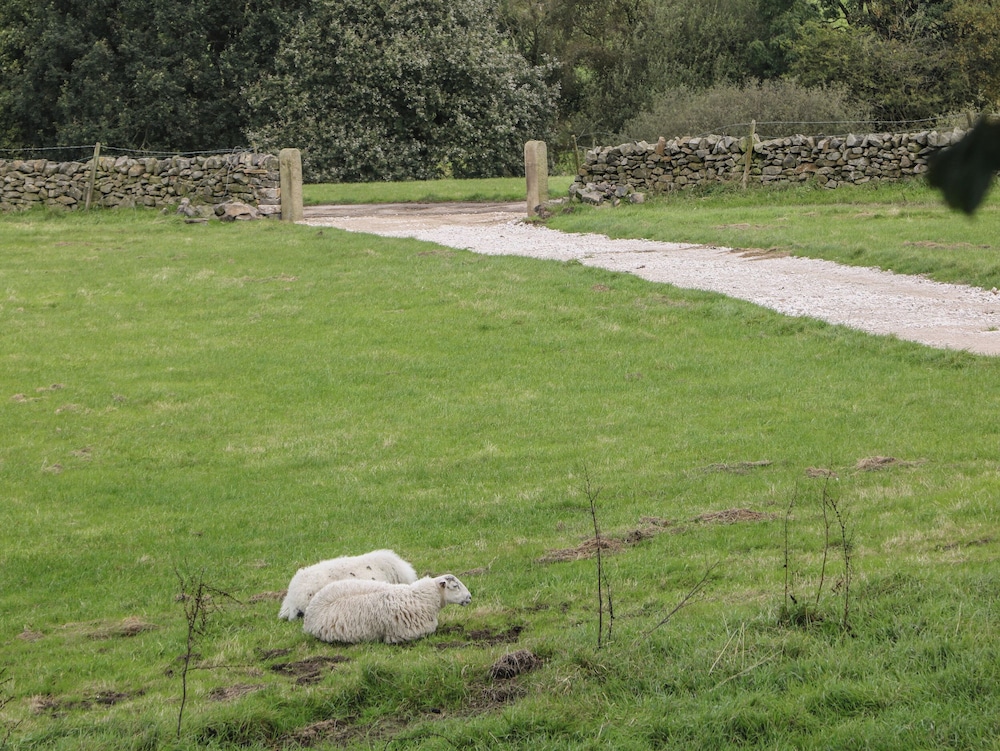 Stoney Cliffe Farm