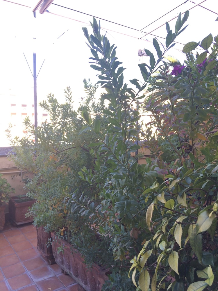 Casa Miranapoli