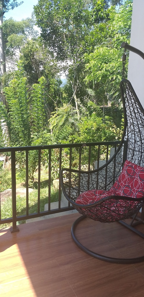Hill Forest Cottage