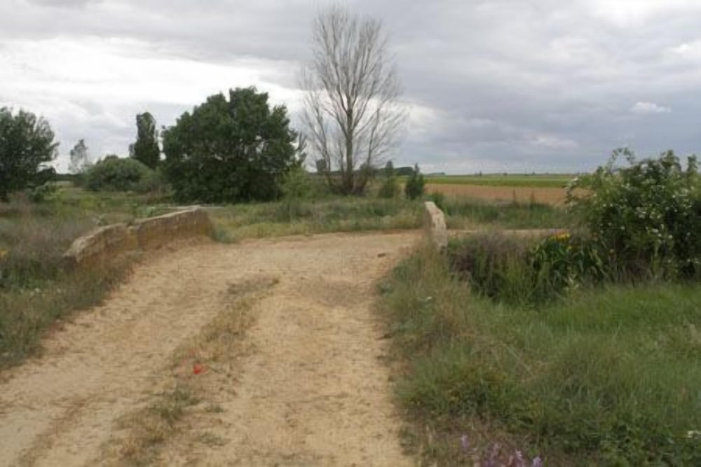Photo 39