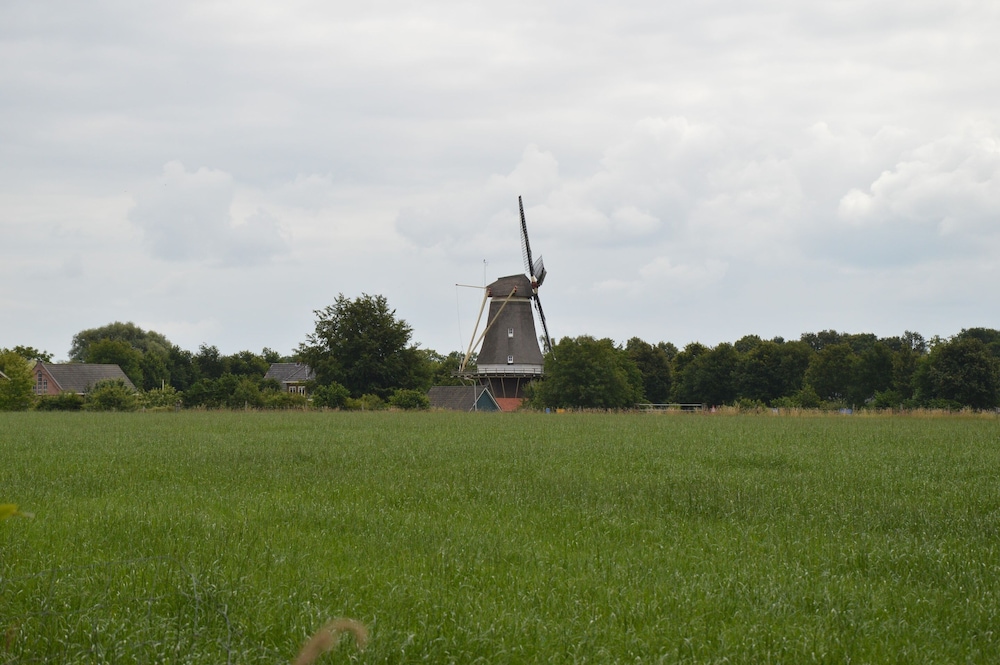 Farmhouse in Geesteren Near Forests view 3