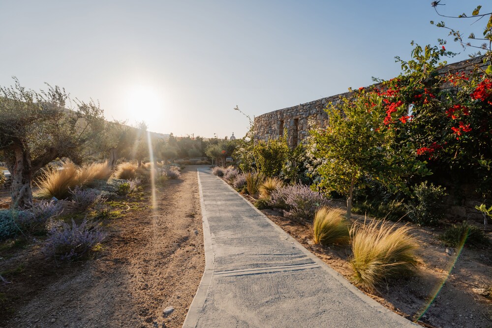 Oliving Mykonos Luxury Suites