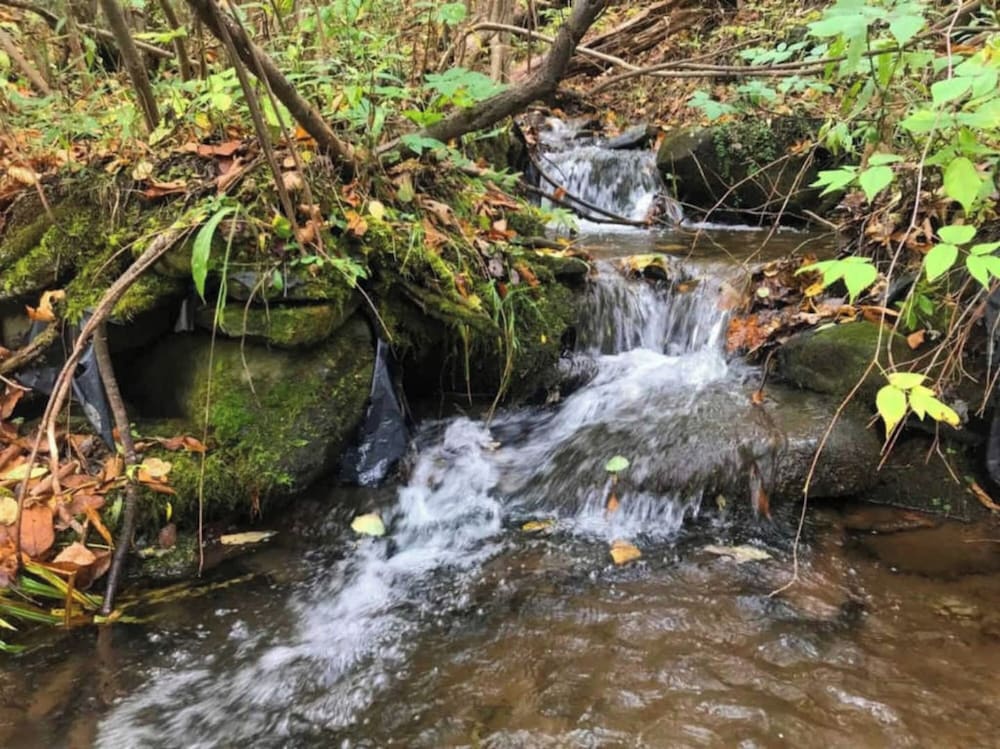 Catskill Retreat