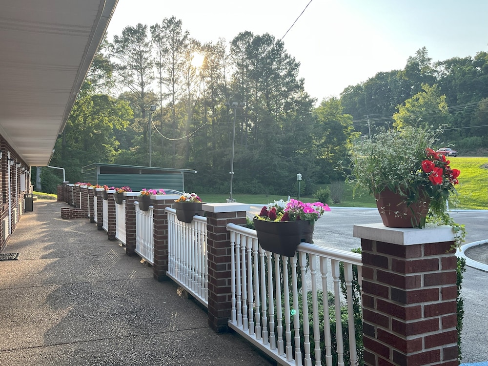 Pine Tree Inn