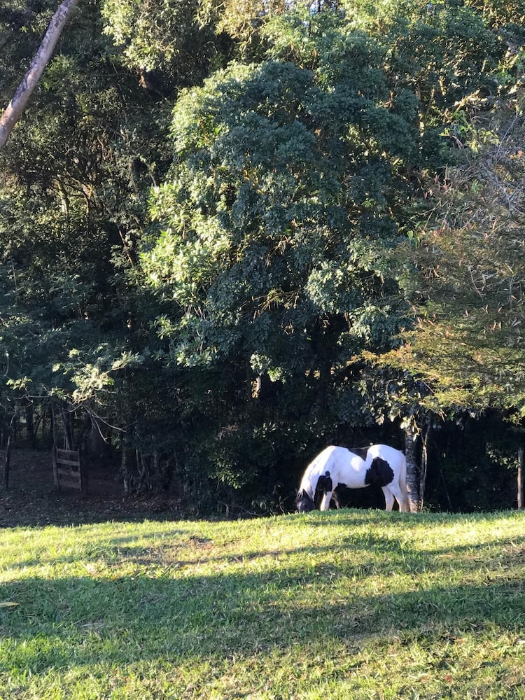 Apto 2 Férias na Fazenda Usina Térreo