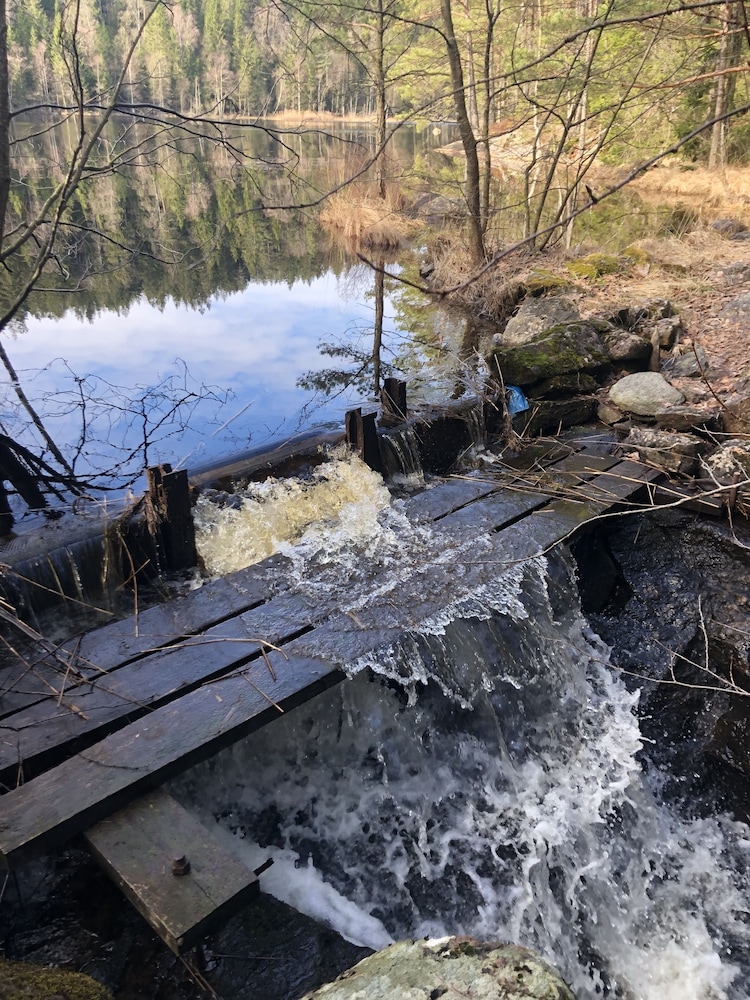 Björsjödal