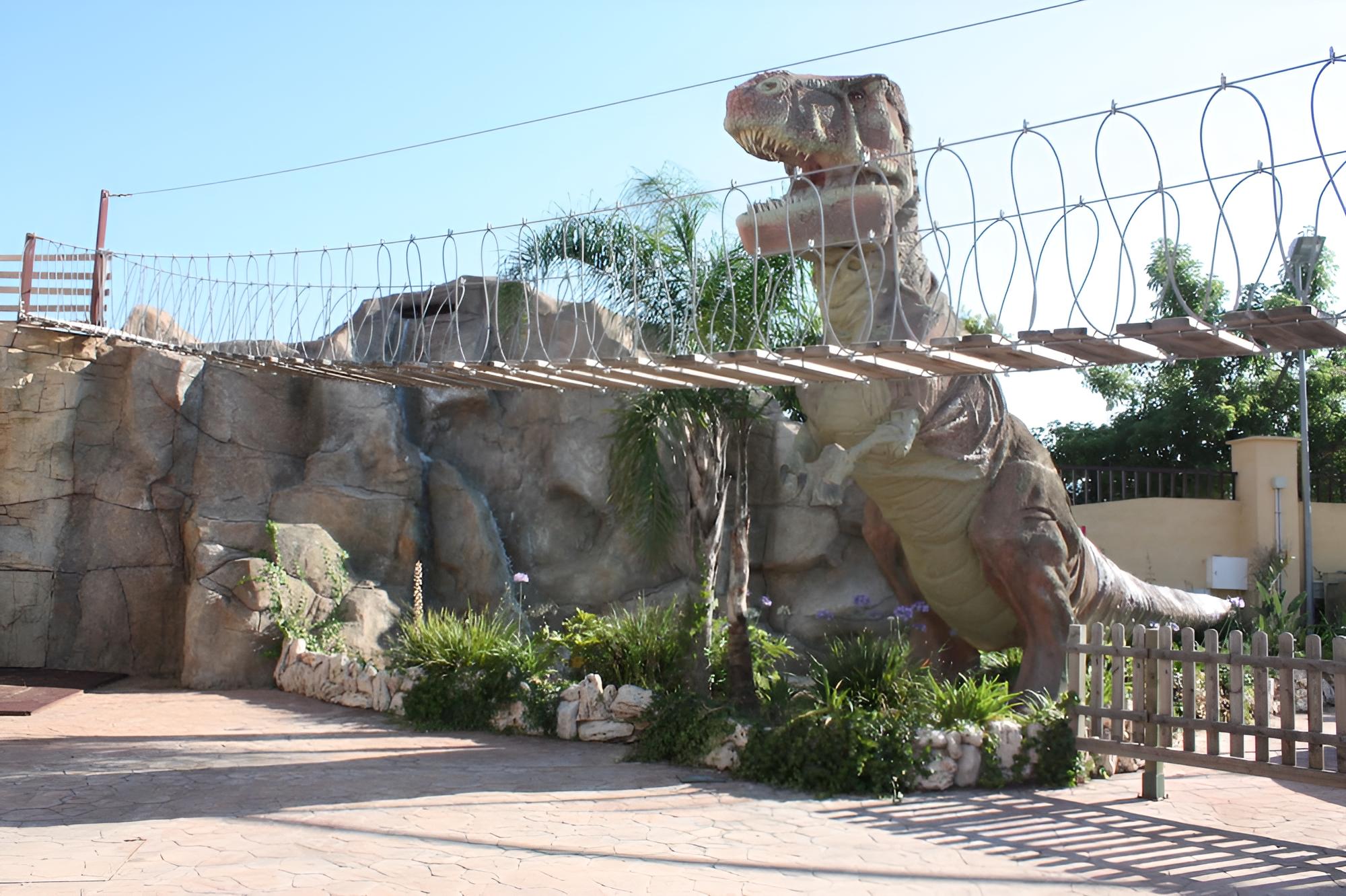 Photo 42