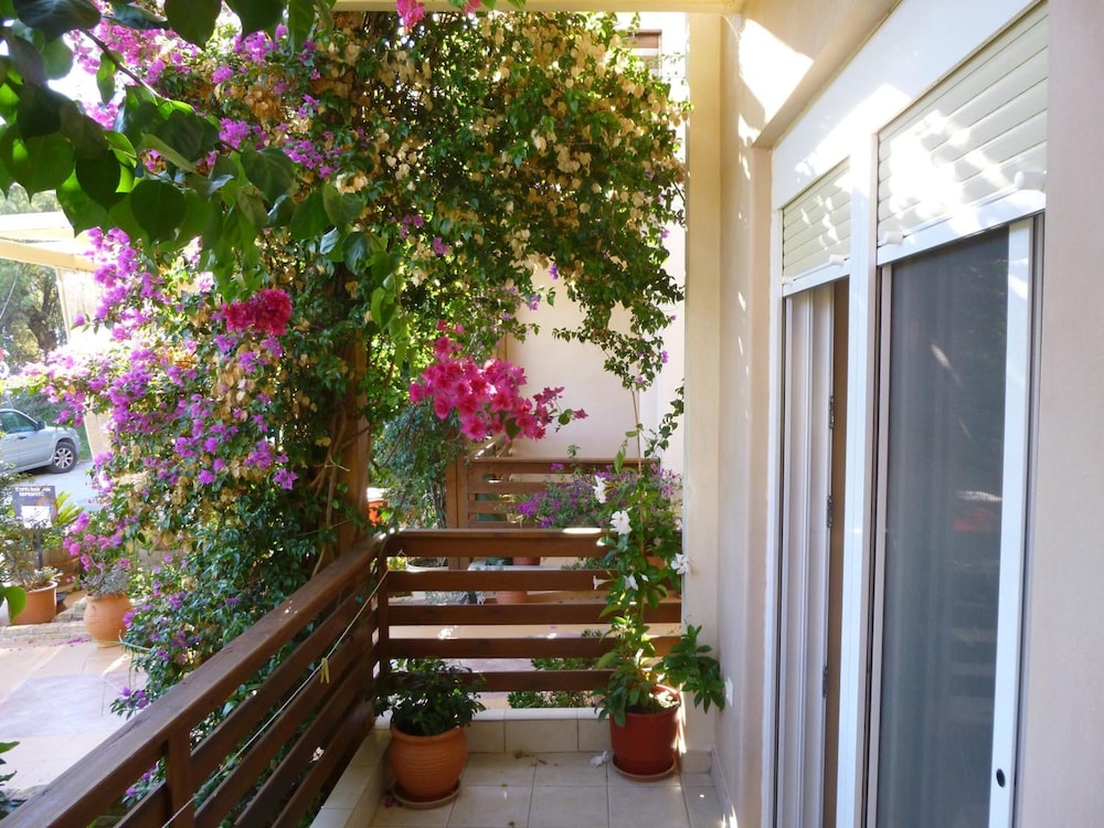 Photo 43