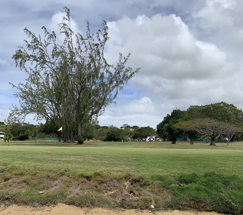 Moonshine 316 Rockley Golf Club