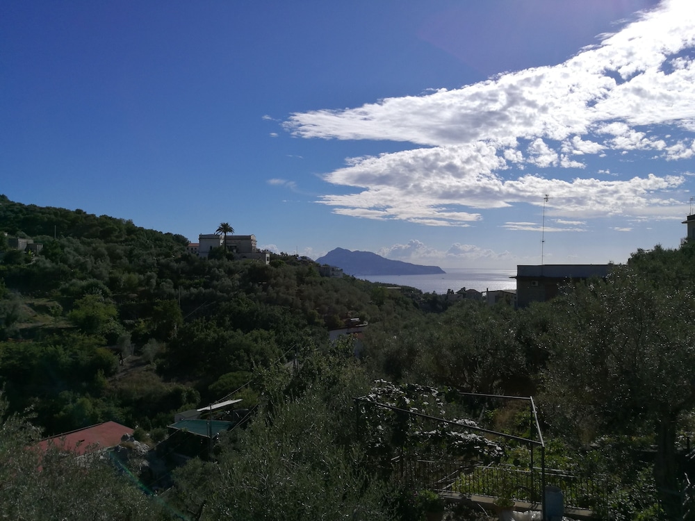 Agriturismo Oleum