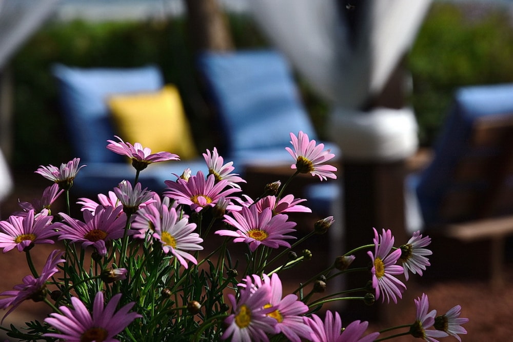 Mul Kineret Suites
