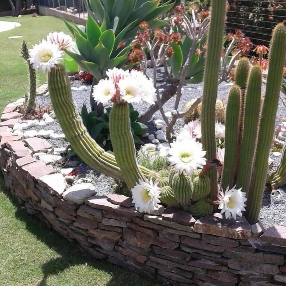 B&B Villa Rosanna