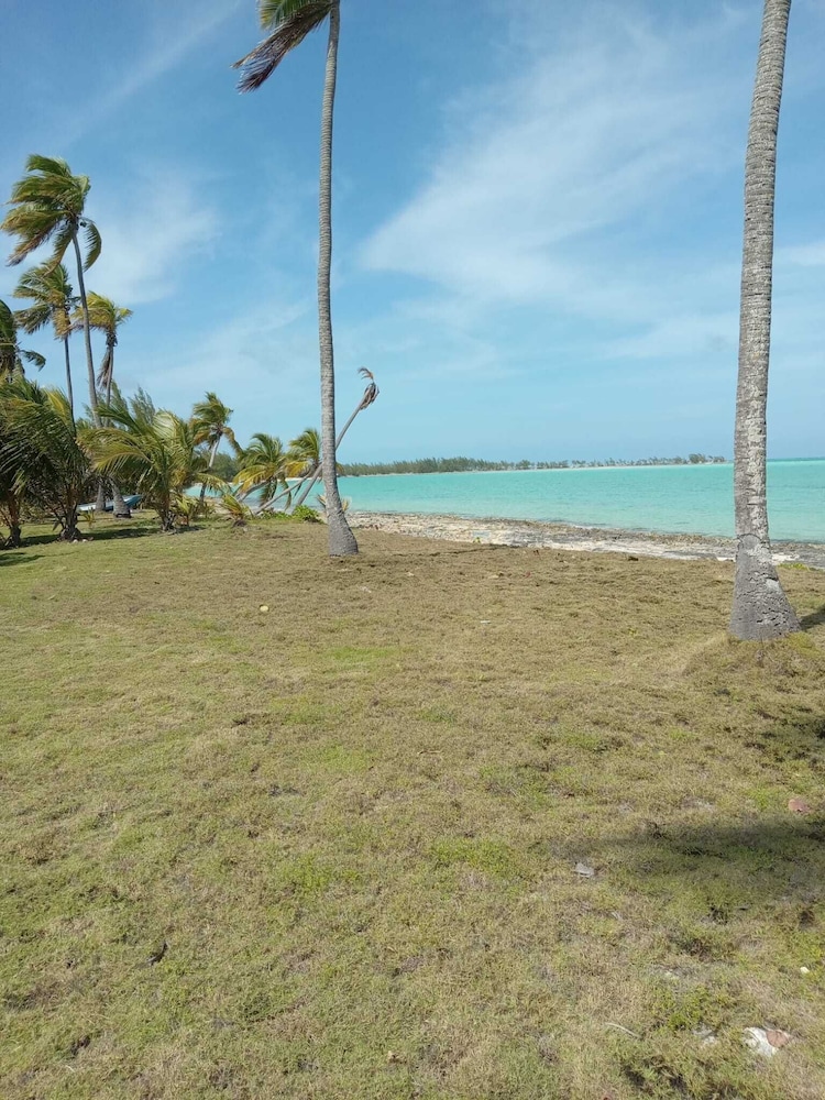 Alvira's Place
