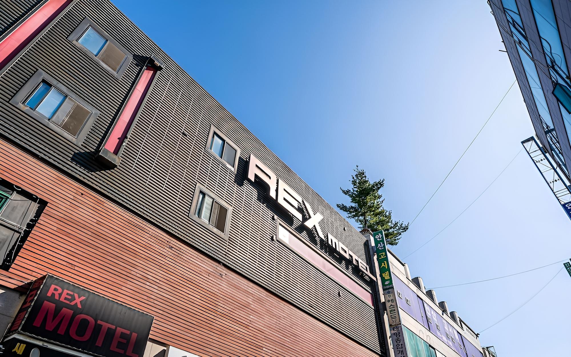 Ansan Rex view 5
