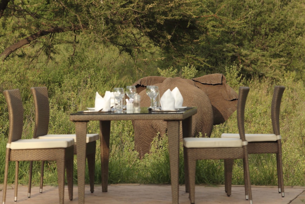 Spirit Of The Masai Mara