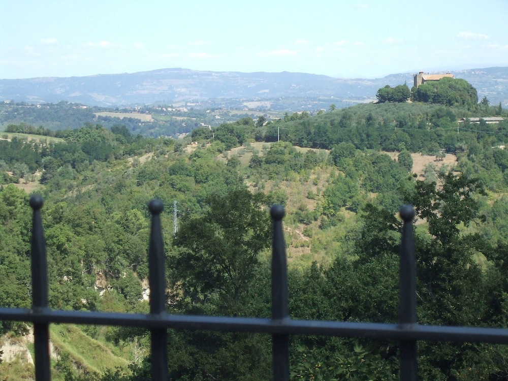 Photo 41