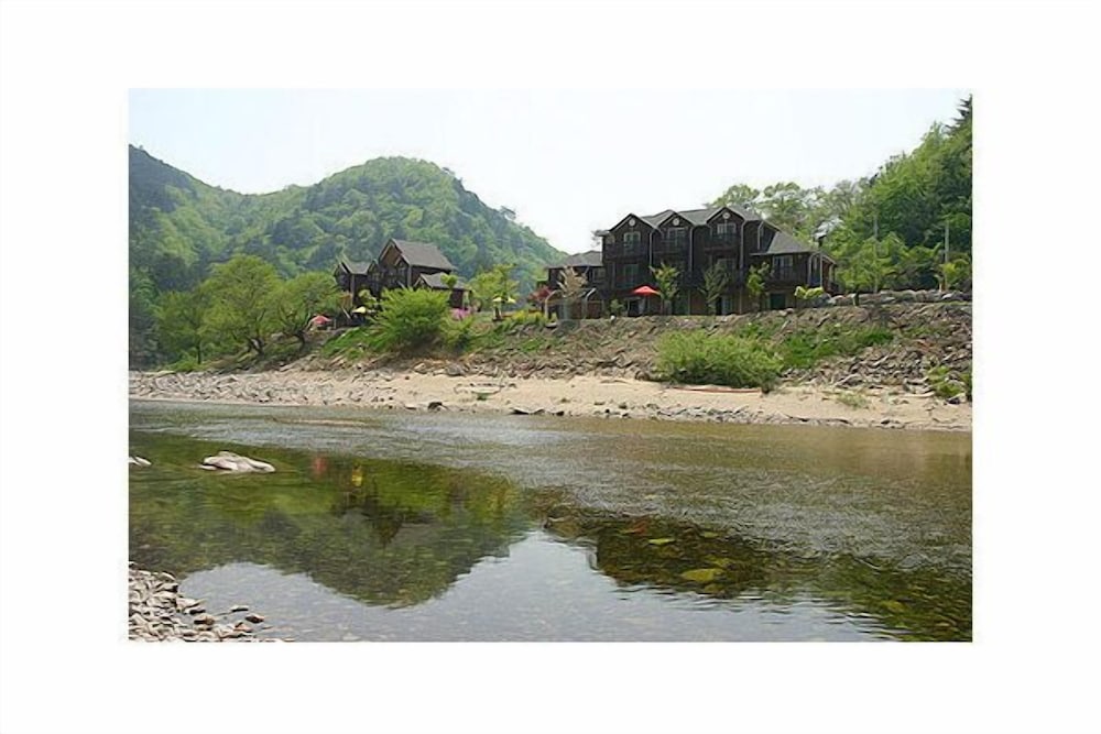 Caddis Pension