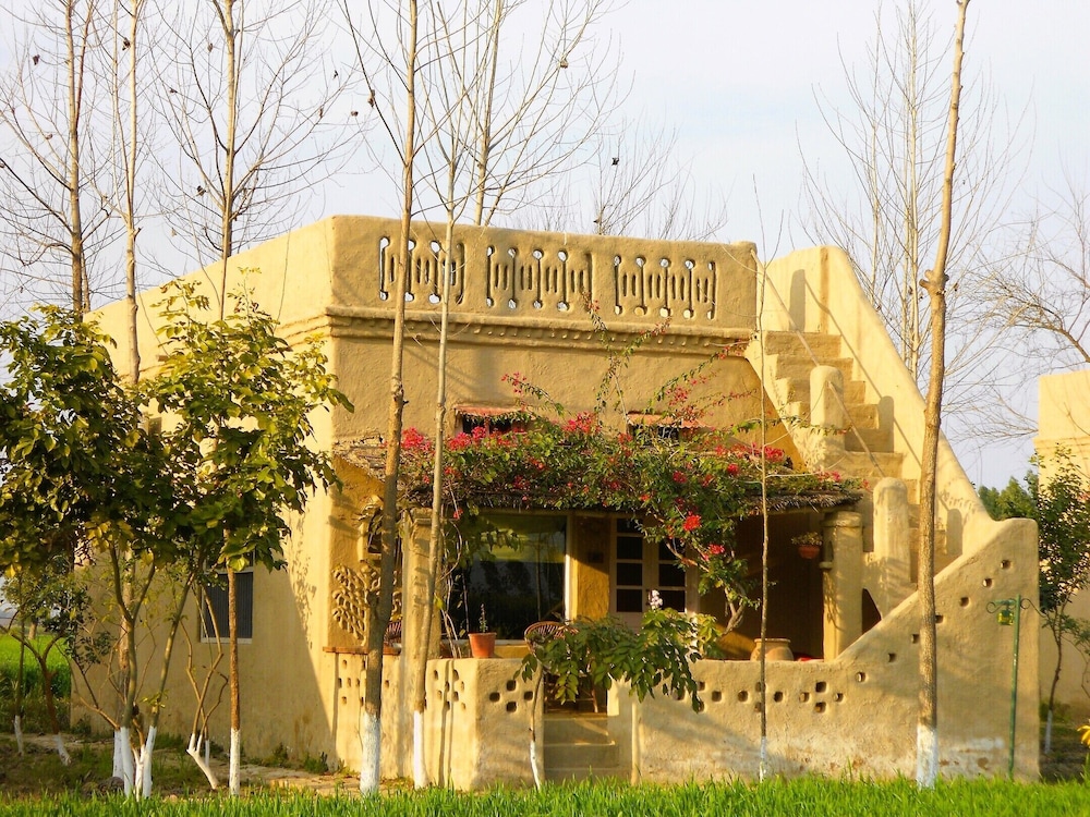 Punjab village farm near Amritsar