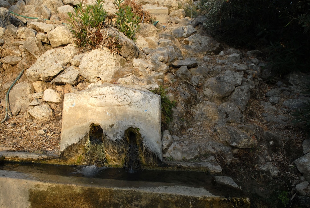 Photo 25