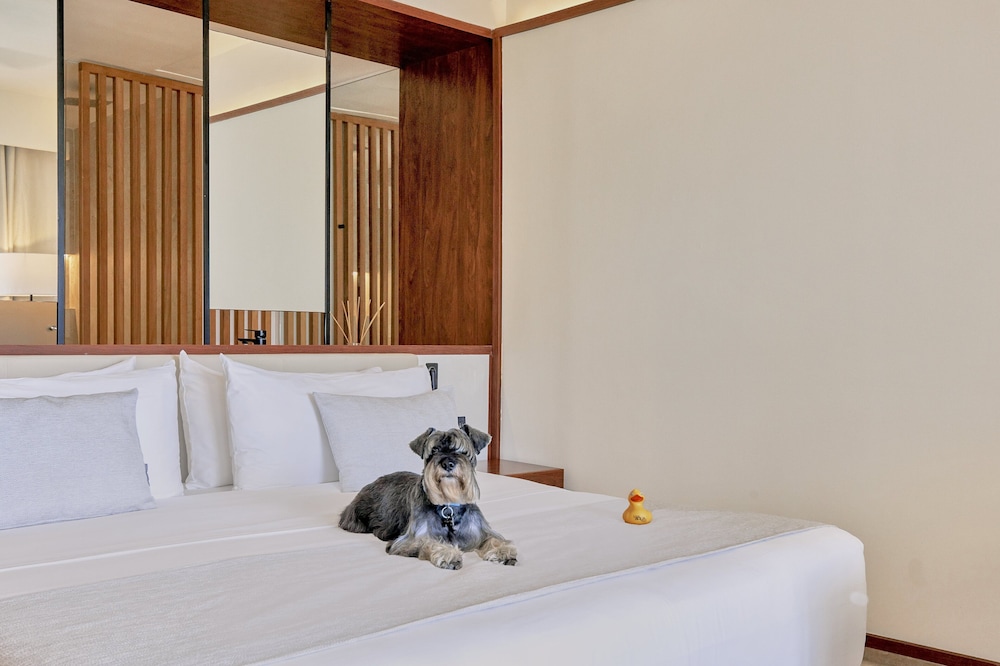 Punta Cana Vacations - Live Aqua Punta Cana - All Inclusive - Adults Only - Property Image 24