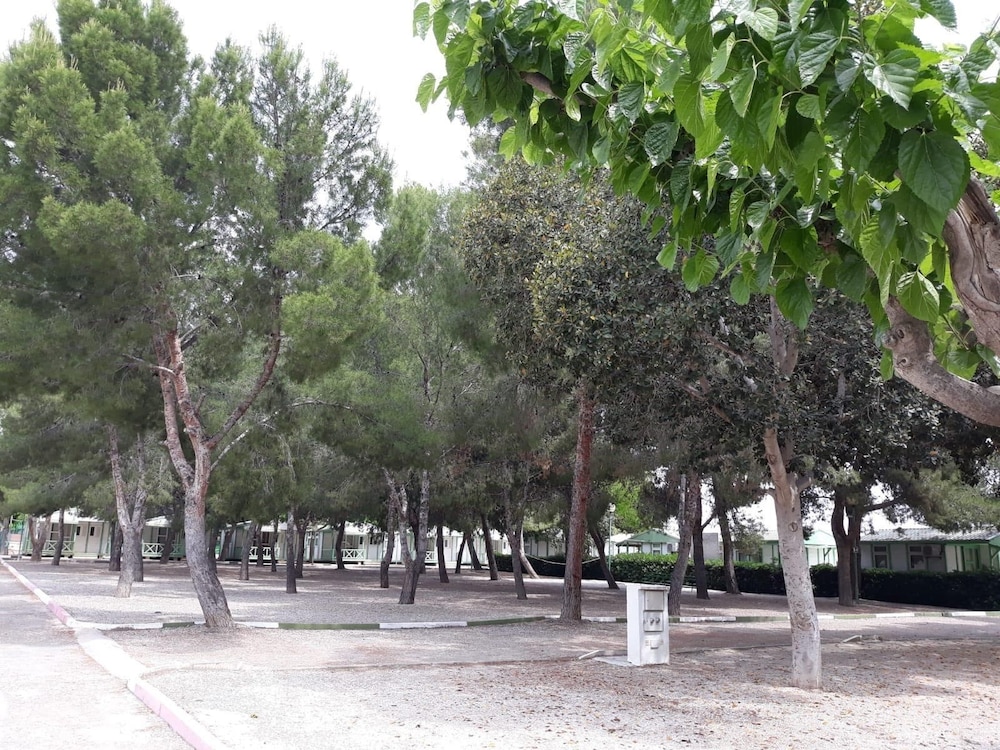 Camping La Paz