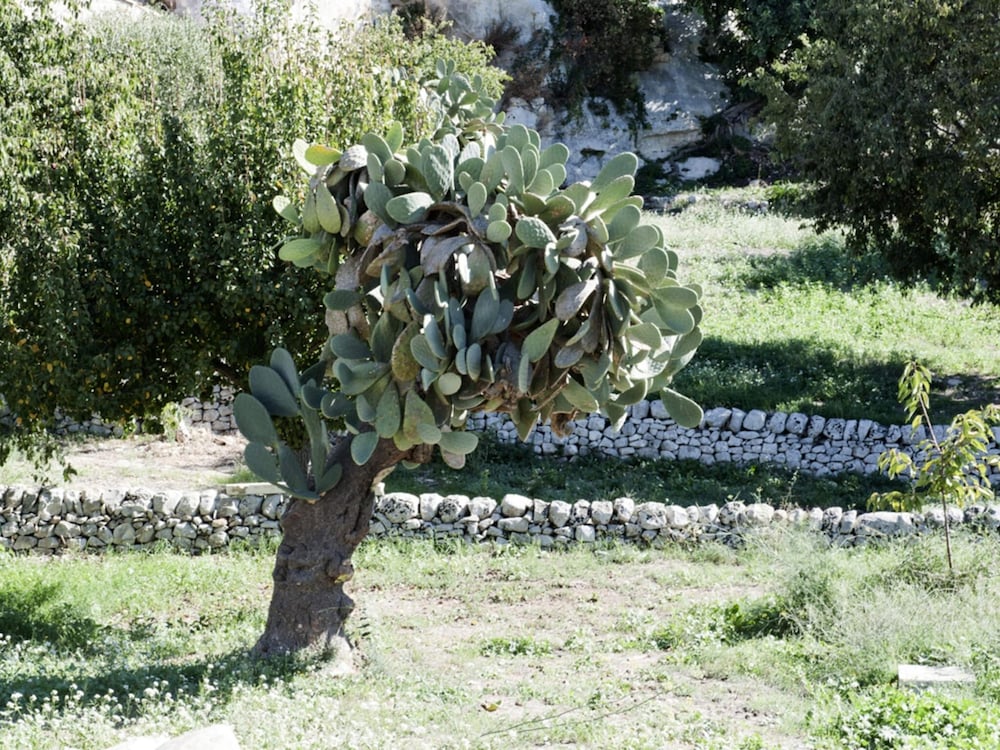 Photo 24